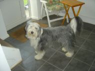 Ellie 06/05/07